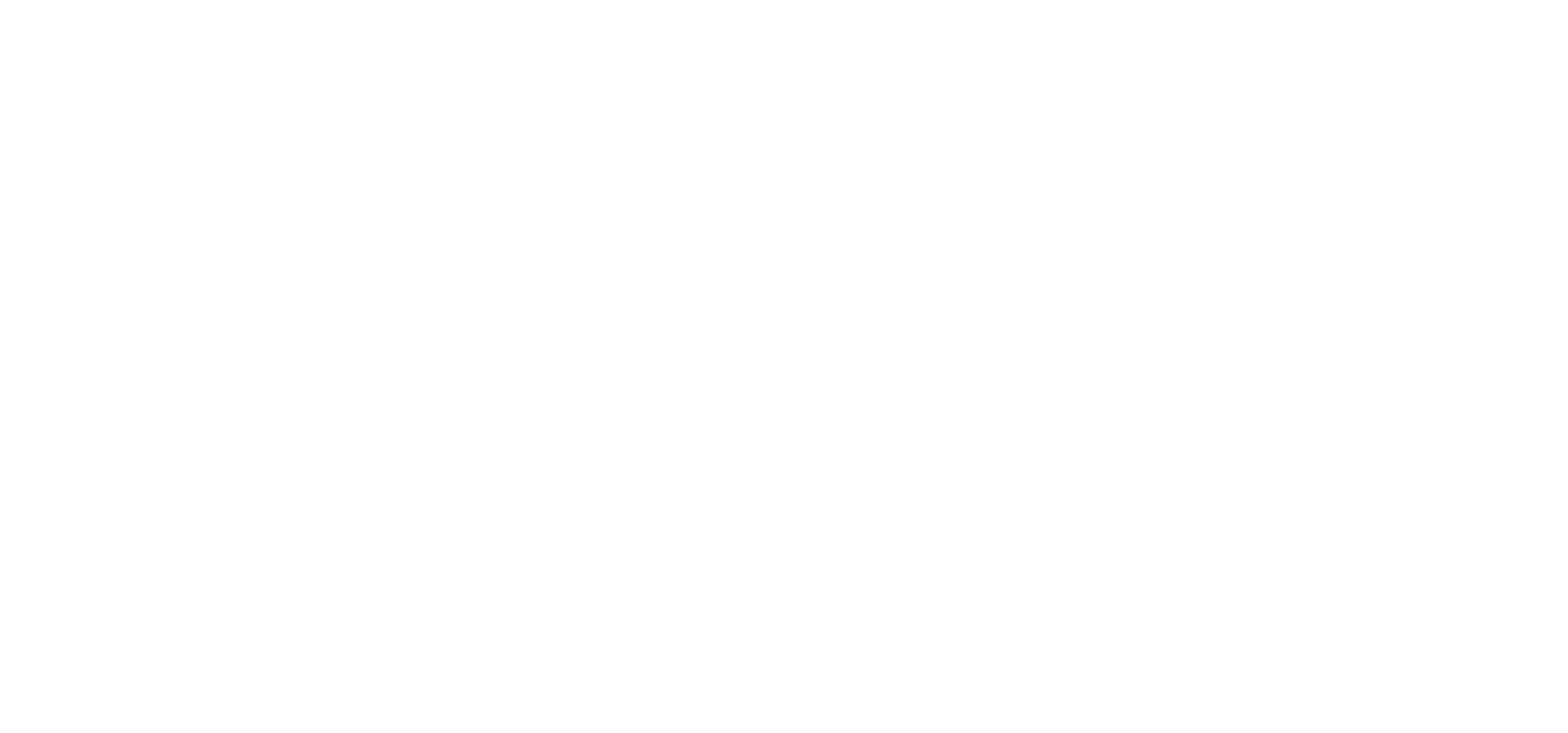 Binge Leisure Resort Logo